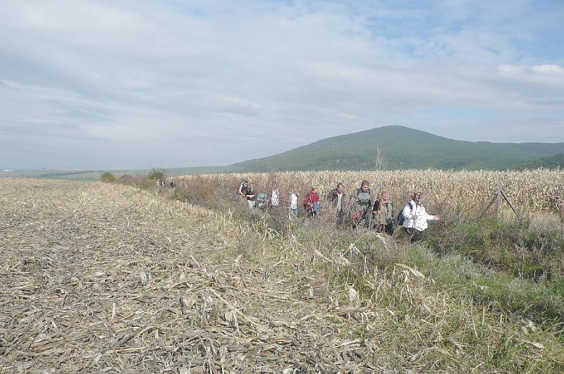 20121013 087.jpg